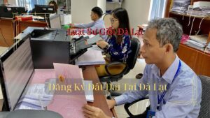 Đăng Ký Đất Đai Tại Đà Lạt - Luật Sư Giỏi Đà Lạt