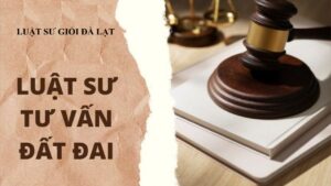 Dịch Vụ Luật Sư Đất Đai Tốt Nhất Đà Lạt - Sự Lựa Chọn Uy Tín Cho Quyền Sở Hữu Bất Động Sản Tại Đà Lạt