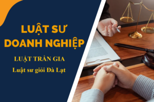 Luật sư tư vấn, thực hiện dịch vụ Thành Lập Doanh Nghiệp tại Đà Lạt