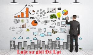 Luật sư giỏi Đà Lạt - Thành lập Công ty Đà Lạt