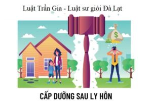 Tranh chấp cấp dưỡng nuôi con sau ly hôn tại Đà Lạt
