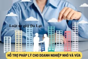 Dịch Vụ Luật Sư Doanh Nghiệp Đà Lạt - Hỗ Trợ Pháp Lý Toàn Diện Cho Doanh Nghiệp
