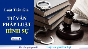 Dịch Vụ Luật Sư Hình Sự Đà Lạt - Bảo Vệ Quyền Lợi Tốt Nhất Cho Thân Chủ