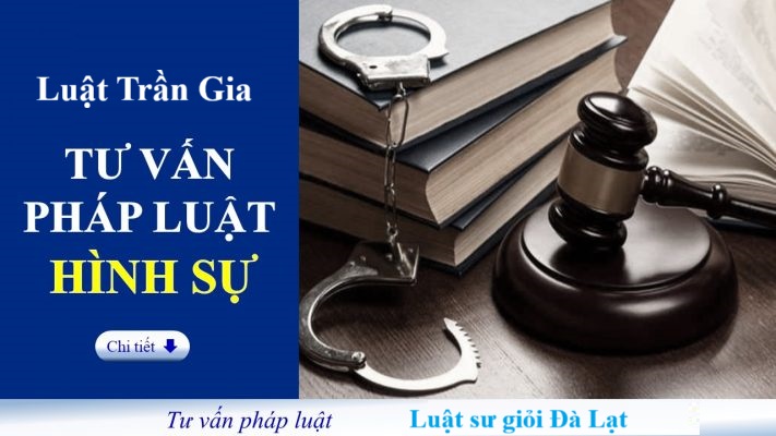 Dịch Vụ Luật Sư Hình Sự Đà Lạt - Bảo Vệ Quyền Lợi Tốt Nhất Cho Thân Chủ