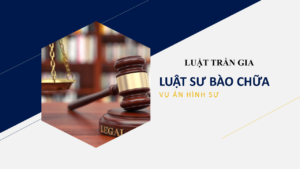 Khách hàng lựa chọn Dịch Vụ Luật Sư Hình Sự Tại Đà Lạt - Dịch Vụ Bào Chữa Uy Tín Hiệu Quả của Luật Trần Gia - Luật sư giỏi Đà Lạt