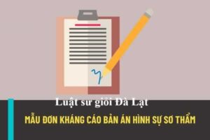 Luật Sư Tư Vấn Kháng Cáo - Thủ Tục Kháng Cáo Lên Tòa Án Tại Lâm Đồng