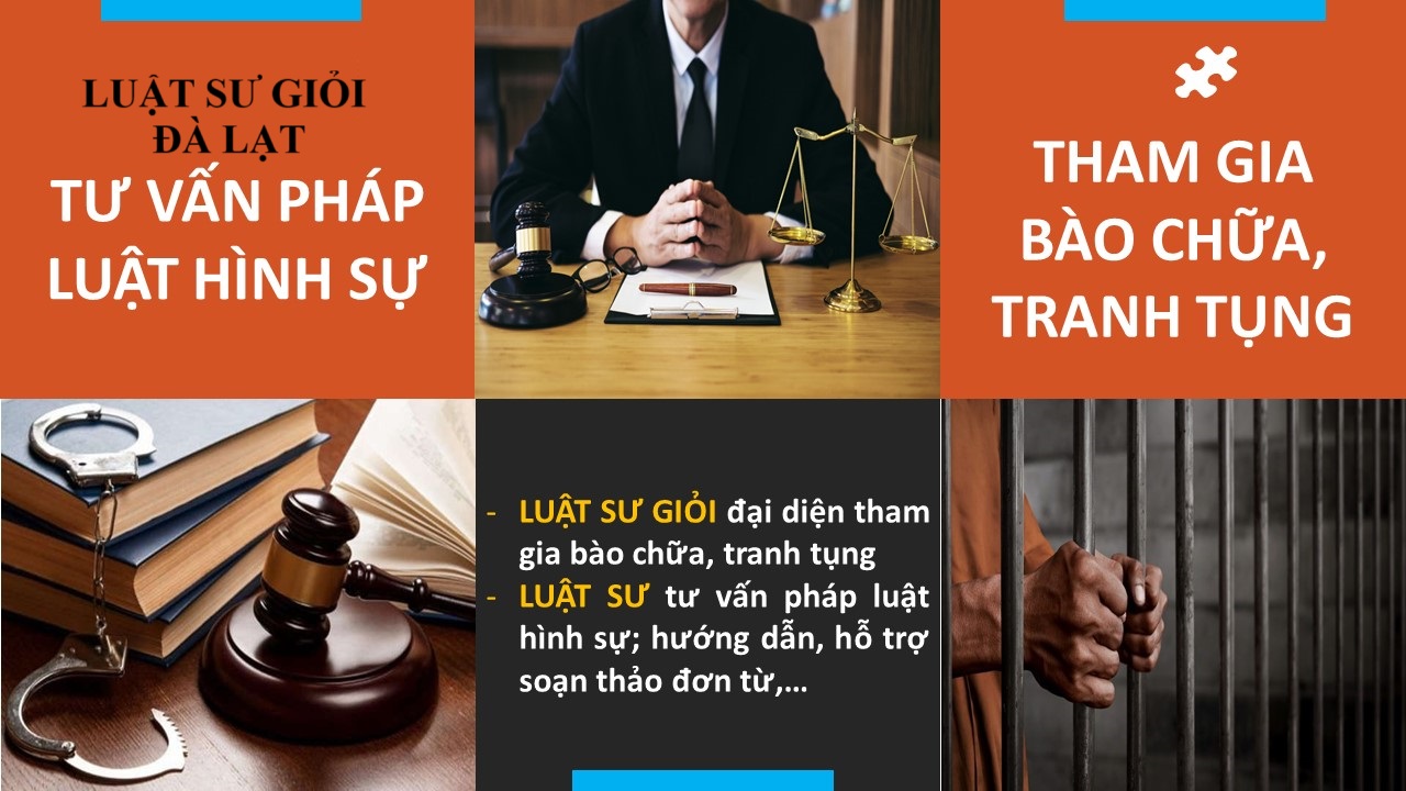 Dịch Vụ Luật Sư Hình Sự Đà Lạt – Bảo Vệ Quyền Lợi Và Bào Chữa Trong Các Vụ Án Hình Sự